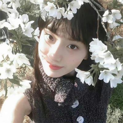 黑道家族 第三季